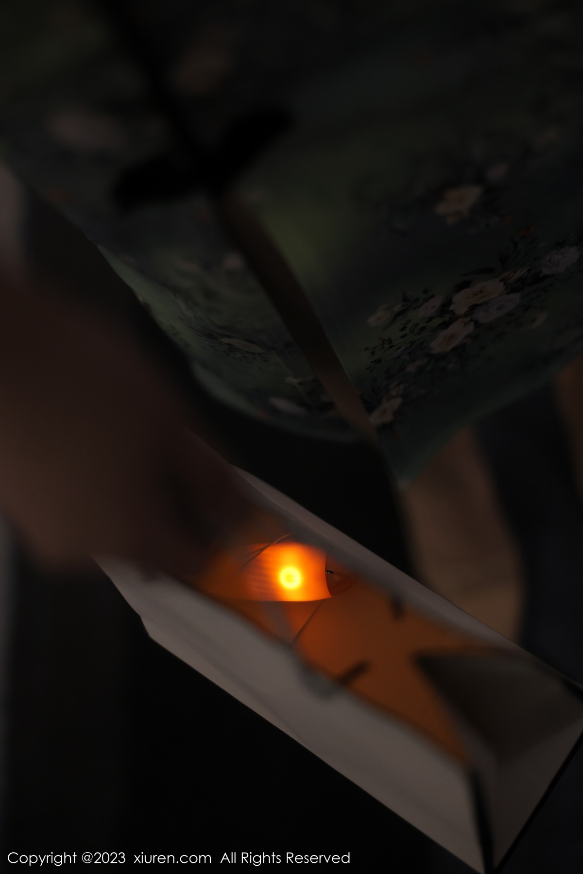 秀人 [XIUREN] 2023.03.24 Arude薇薇 秀人套图 第4张