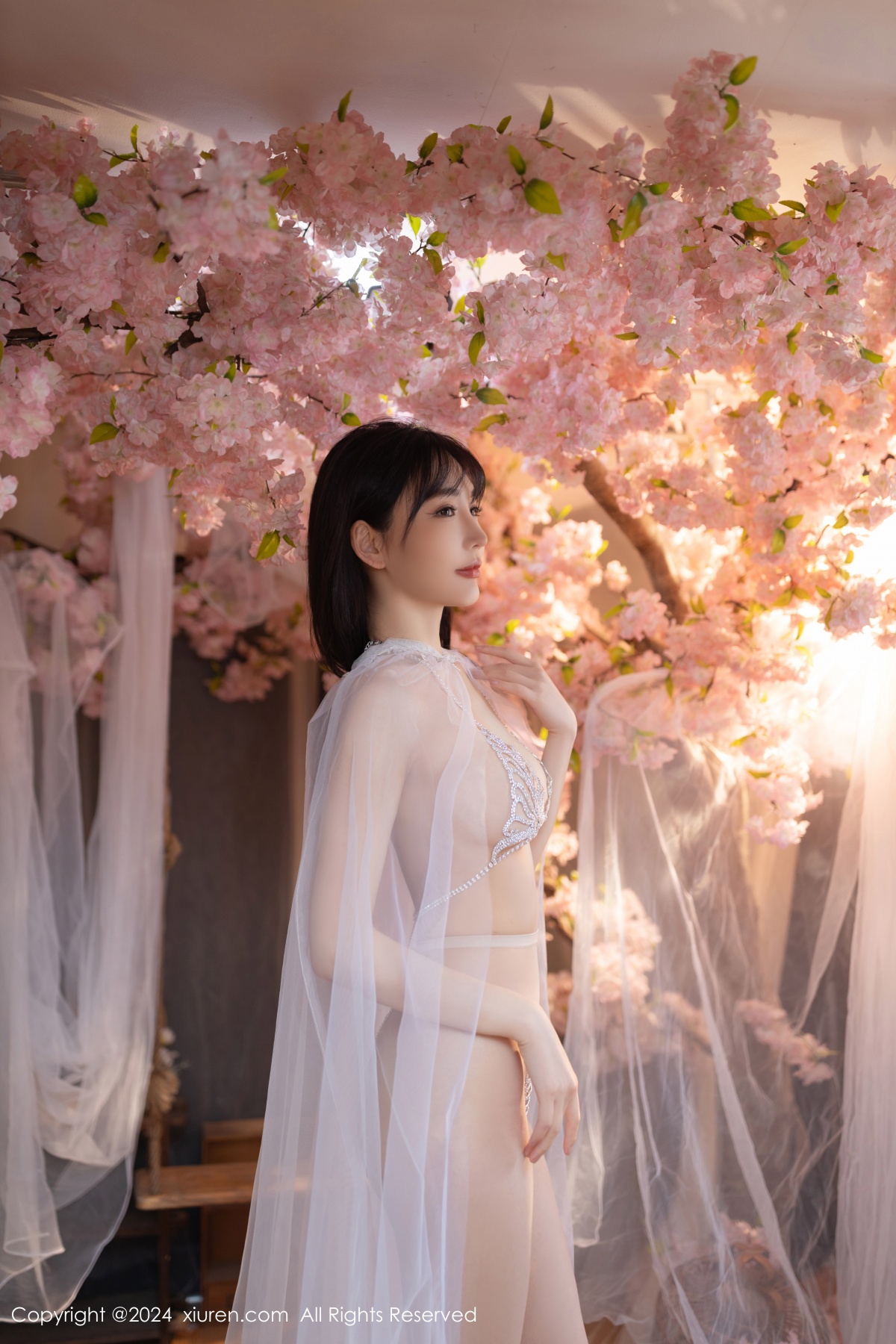 秀人 [XIUREN] 2024.07.04 陆萱萱 秀人套图 第2张